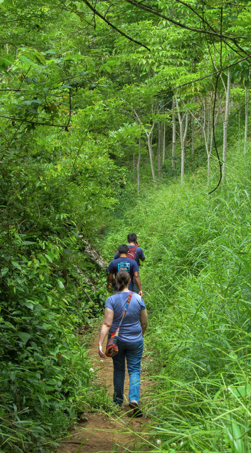 Partner_for_Surgery_5